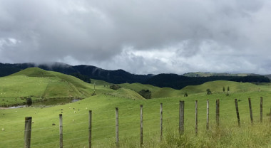 Sur la route au milieu des volcans ⛰